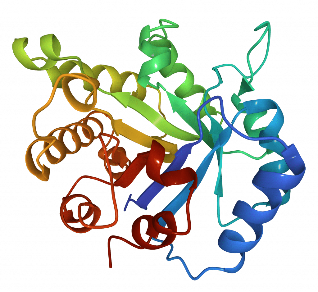 Molecular simulation of a cancer drug